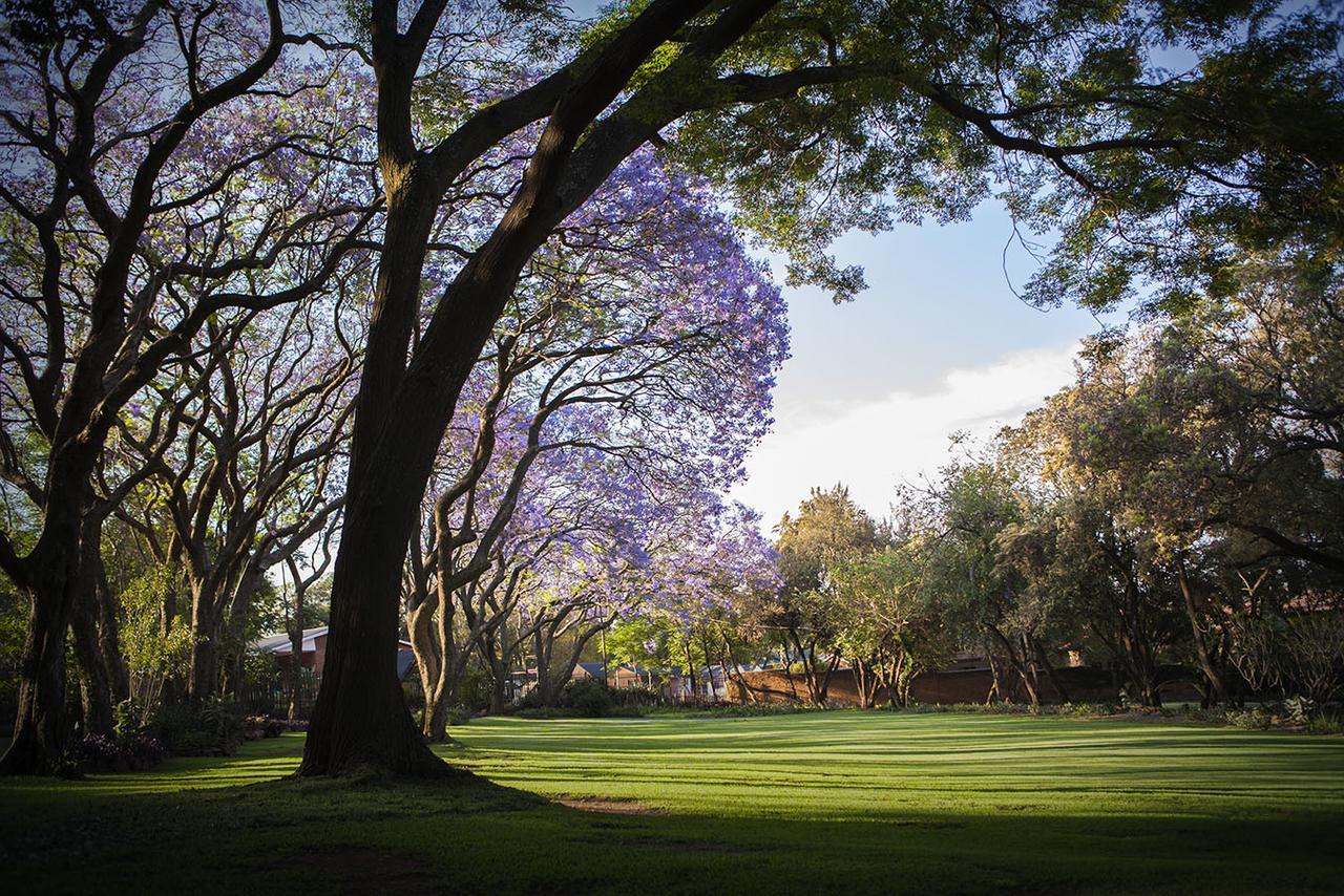 Pierneef'S Kraal Hotel Pretoria Ngoại thất bức ảnh